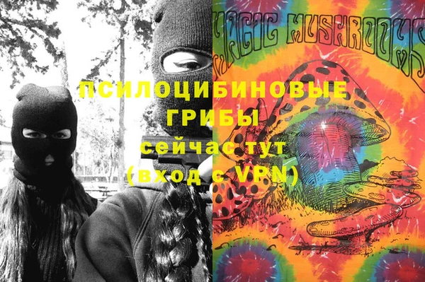 винт Козловка
