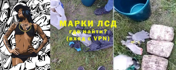 стаф Козельск