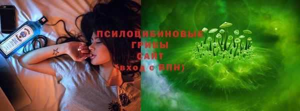 стаф Козельск