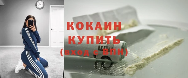 стаф Козельск