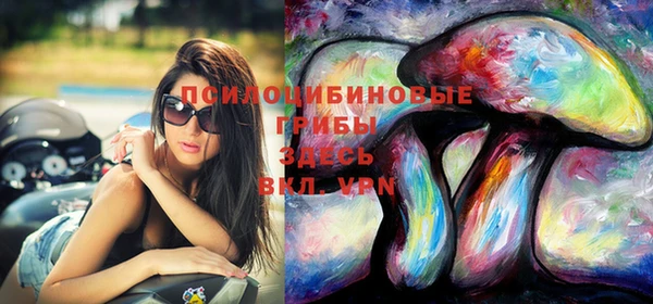 стаф Козельск