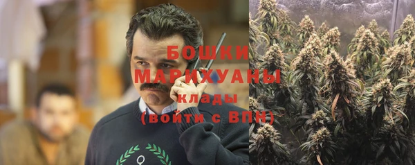 стаф Козельск