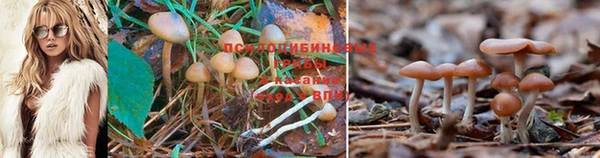 метадон Кодинск